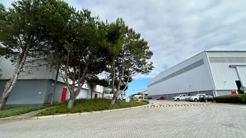 To Let commercial Property for Rent in Montague Gardens Western Cape
